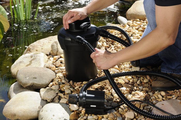  What Is the Best Pond Water Filter during the summer?