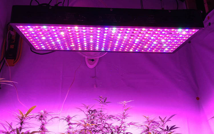  Why Should You Use G8 Led Grow Light?